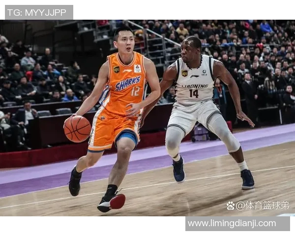 聚焦上海篮球队比赛经验探讨提升球队整体实力的关键因素 聚焦上海篮球队比赛经验探讨提升球队整体实力的关键因素