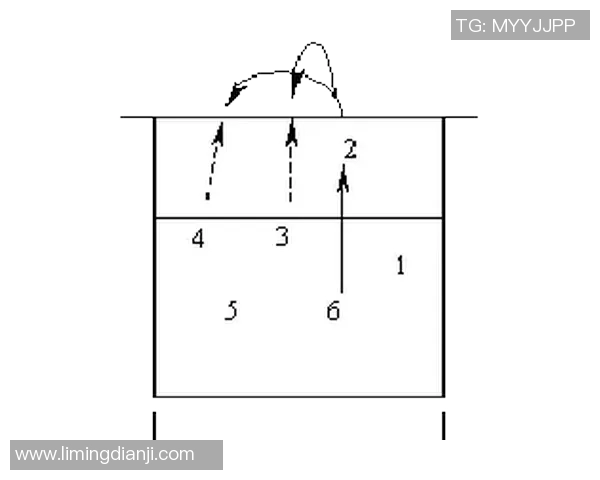 深圳排球队中路突破战术解析与实战应用研究