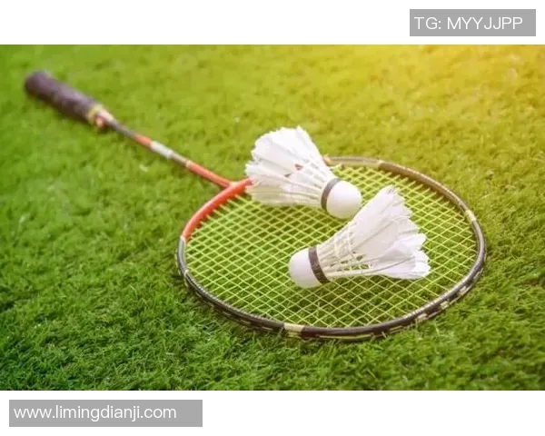 科学网球灵活性训练方法探讨提升运动表现与减少受伤风险的有效策略