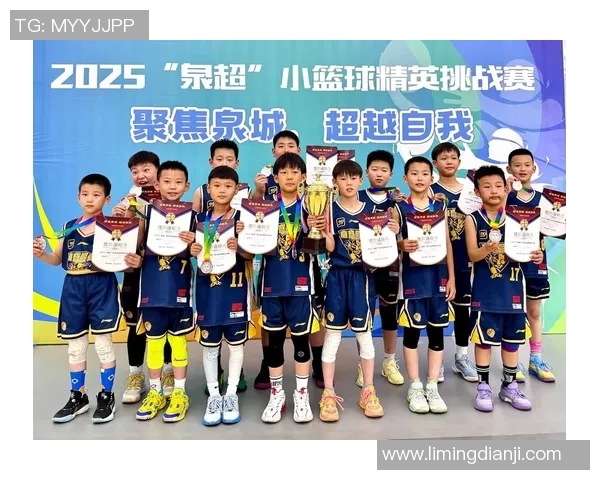 南京篮球队实力解析聚焦球队发展与未来前景