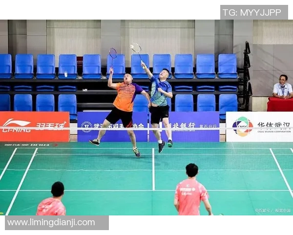 羽毛球热点分析杭州羽毛球队转型升级的路径与挑战