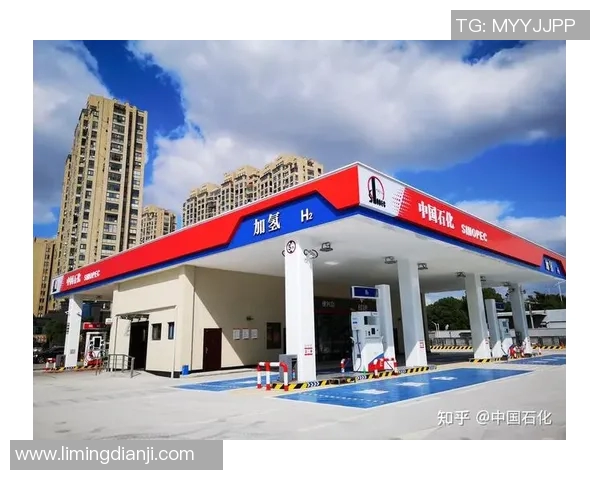 武汉乒乓球队转型之路的挑战与机遇全景观察实时数据